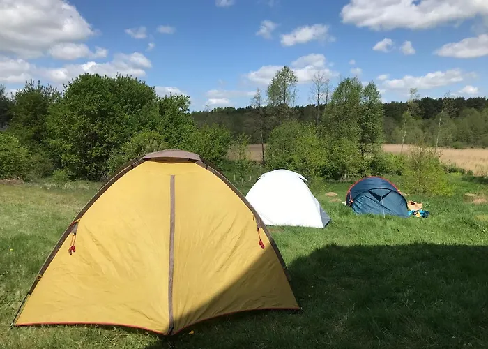 Siedlisko Barycz Kolonia, Dom Caloroczny Na Wylacznosc - 50 M2 6 Osobowy Z 2 Pokojami, Teren 2 Hektary Wsrod Lasow I Lak
