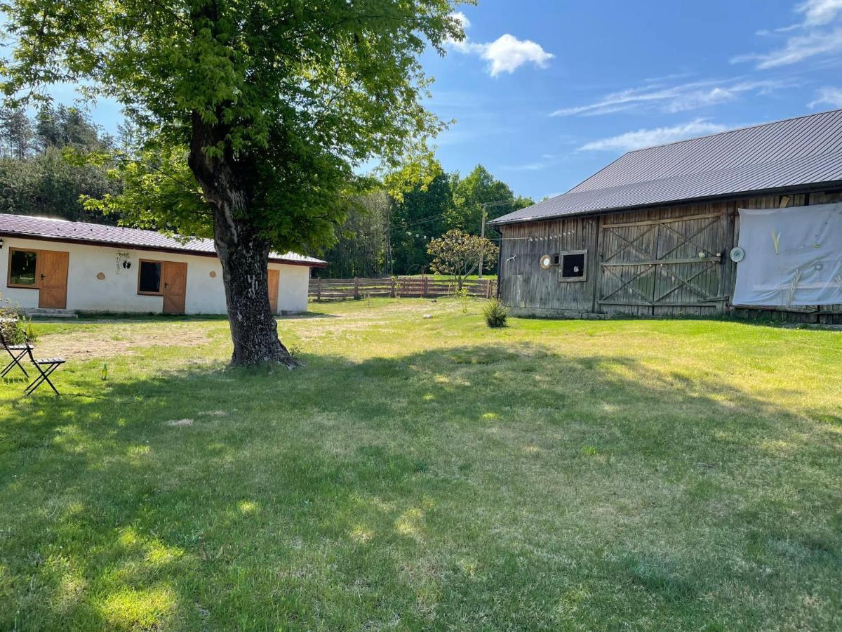 Siedlisko Barycz Kolonia: Forest Retreat With 2-hectare Nature Grounds Apartment *