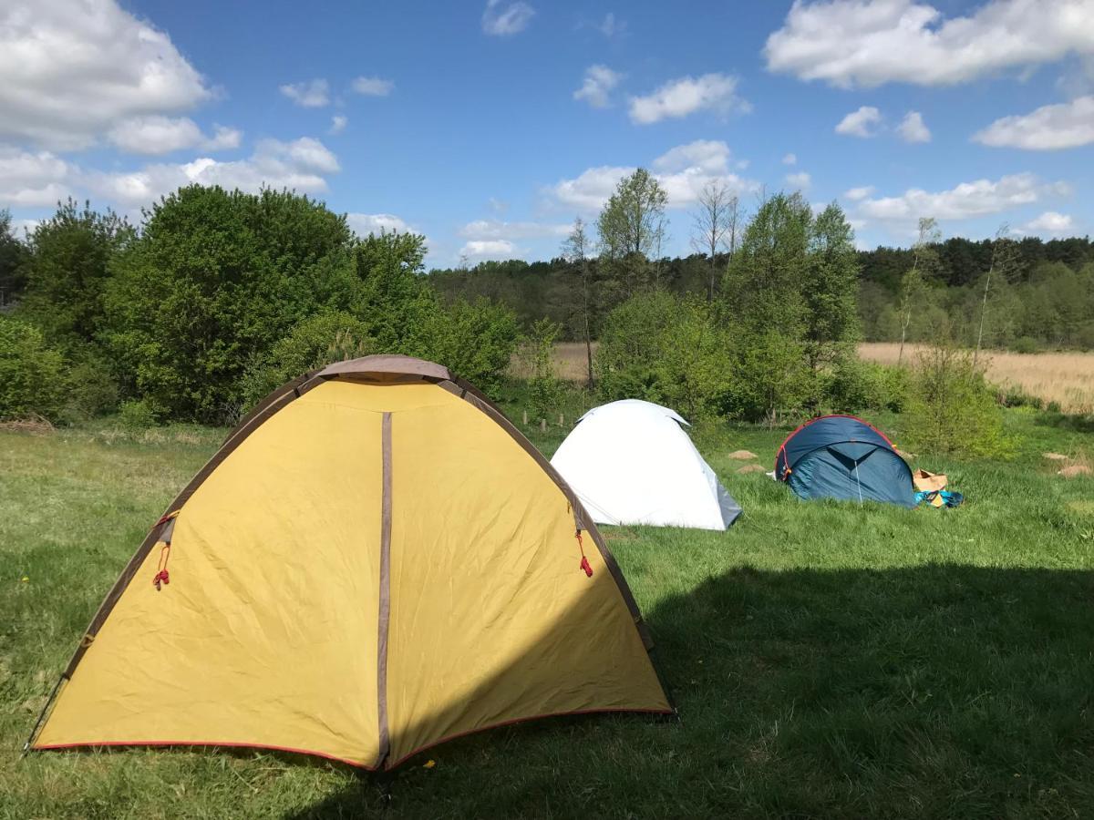 Apartment Siedlisko Barycz Kolonia: Forest Retreat With 2-hectare Nature Grounds Zwolen (Zwolen)