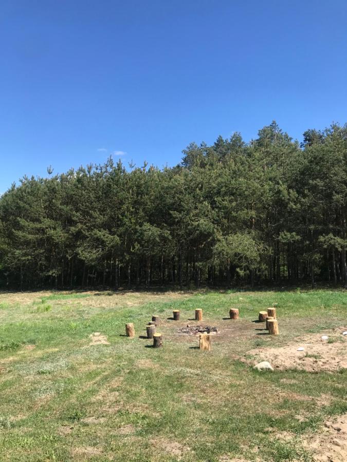 Siedlisko Barycz Kolonia: Forest Retreat With 2-hectare Nature Grounds Apartment