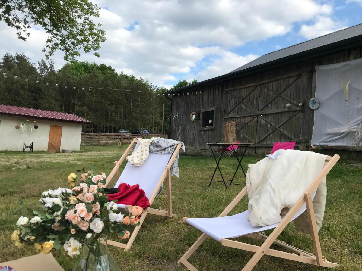 Siedlisko Barycz Kolonia: Forest Retreat With 2-hectare Nature Grounds