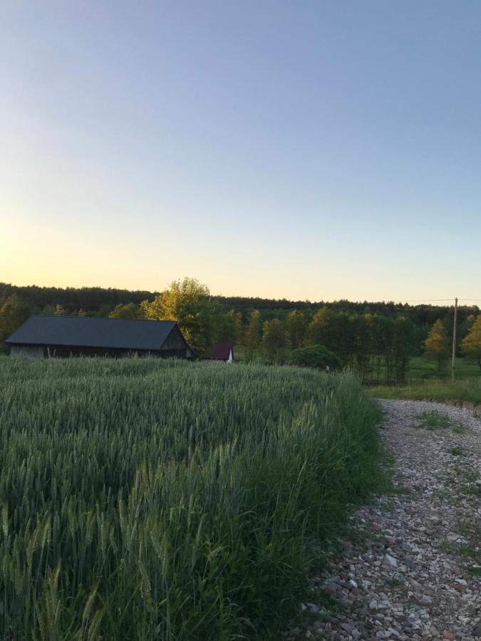 Siedlisko Barycz Kolonia: Forest Retreat With 2-hectare Nature Grounds Apartment Zwolen (Zwolen)