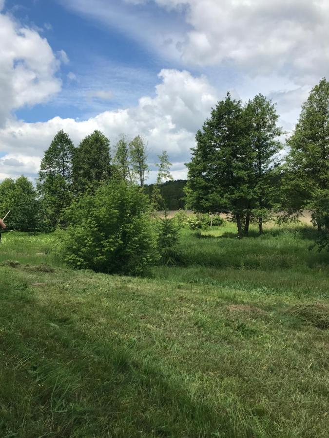 Siedlisko Barycz Kolonia: Forest Retreat With 2-hectare Nature Grounds Zwolen (Zwolen)