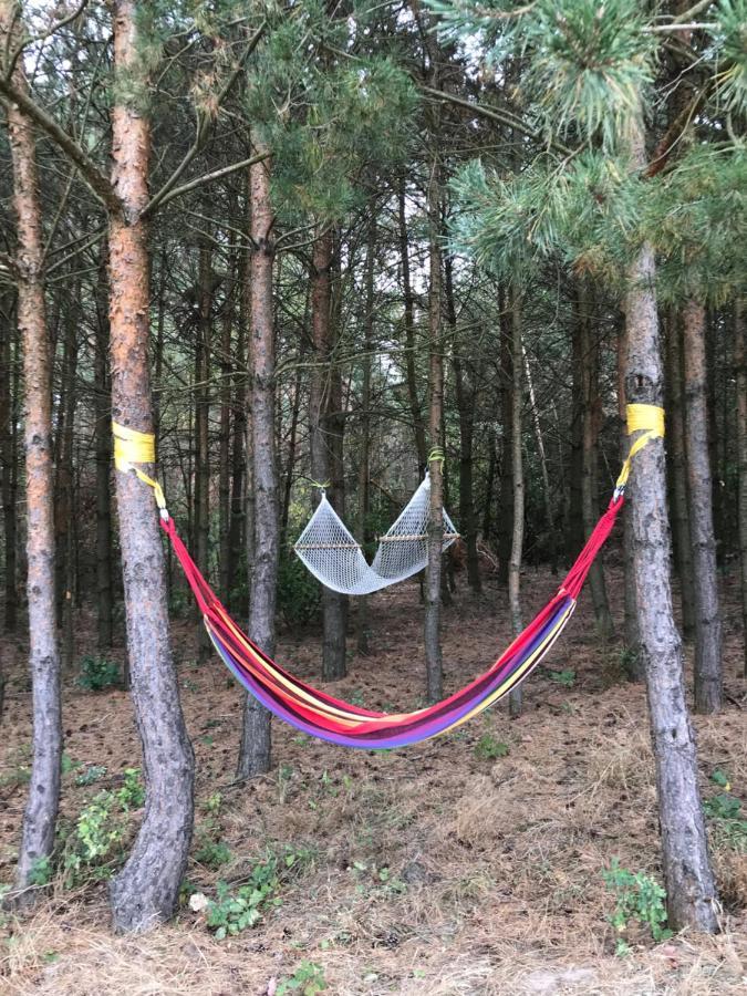 Siedlisko Barycz Kolonia: Forest Retreat With 2-hectare Nature Grounds Zwolen (Zwolen)