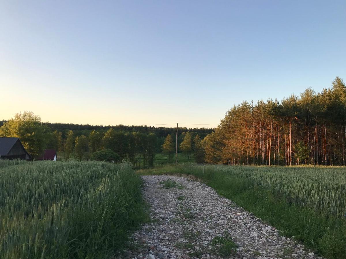 Siedlisko Barycz Kolonia: Forest Retreat With 2-hectare Nature Grounds Apartment Zwolen (Zwolen)