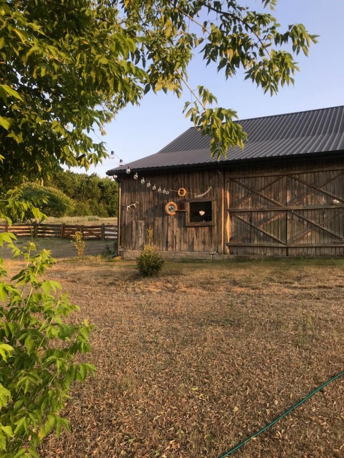 Apartment Siedlisko Barycz Kolonia: Forest Retreat With 2-hectare Nature Grounds *