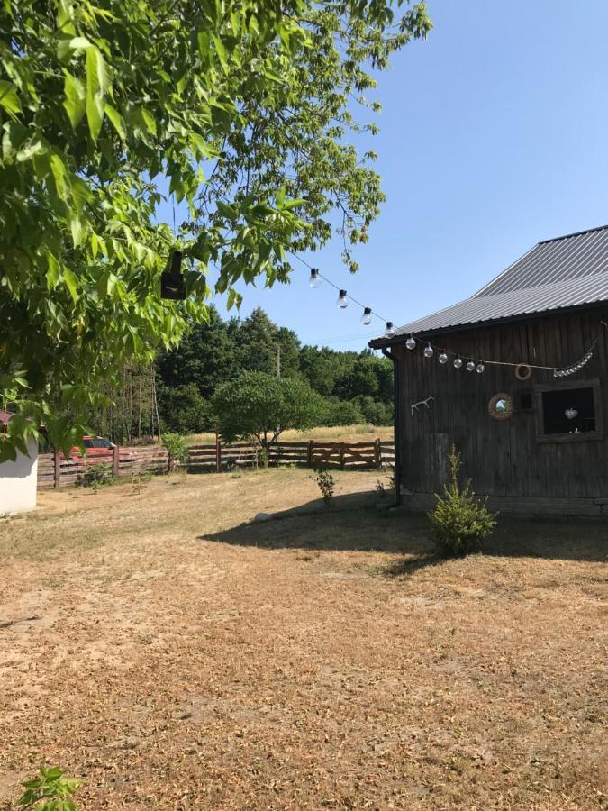 Siedlisko Barycz Kolonia: Forest Retreat With 2-hectare Nature Grounds * Zwolen (Zwolen)