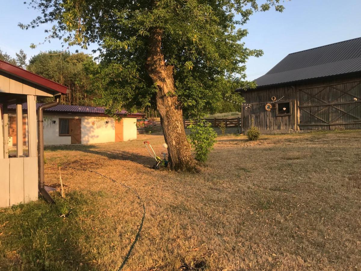 Siedlisko Barycz Kolonia: Forest Retreat With 2-hectare Nature Grounds Apartment Zwolen (Zwolen)